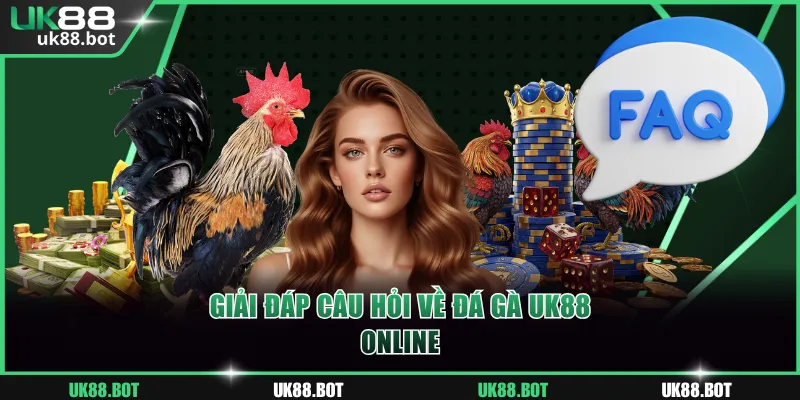 Giải đáp câu hỏi về Đá Gà UK88 online